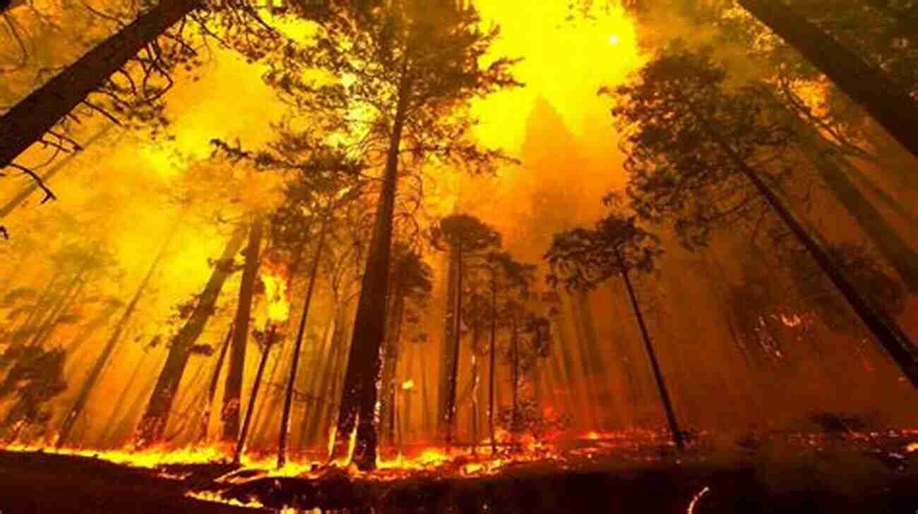 A Forest Engulfed In Flames The Terrifying Consequences Of Wildfires Wildfires (21st Century Basic Skills Library: Natural Disasters)