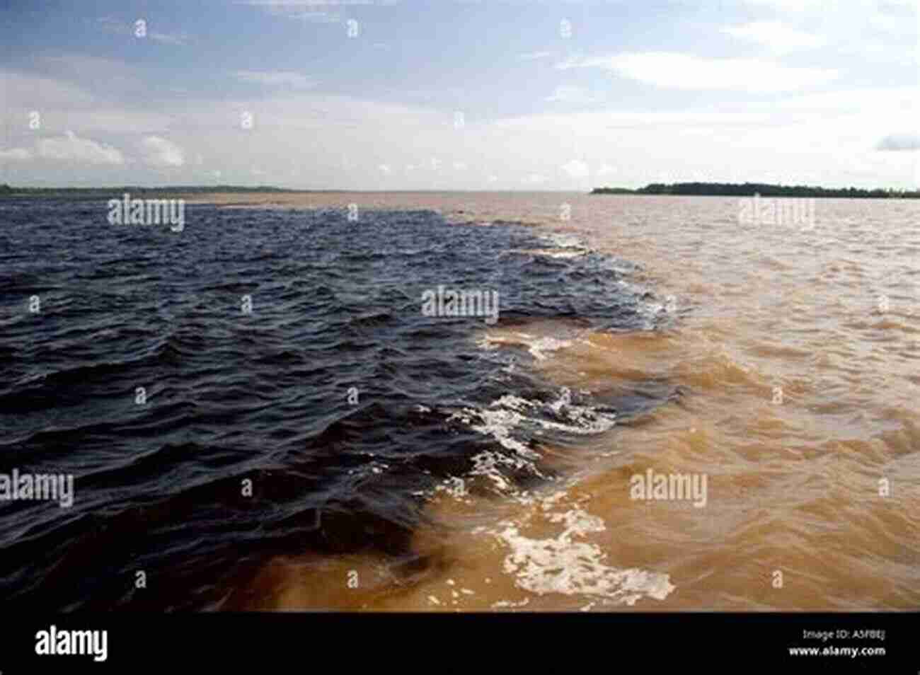 A Breathtaking View Of The Confluence Of The Amazon, Negro, And Madeira Rivers. Three Rivers Of The Amazon