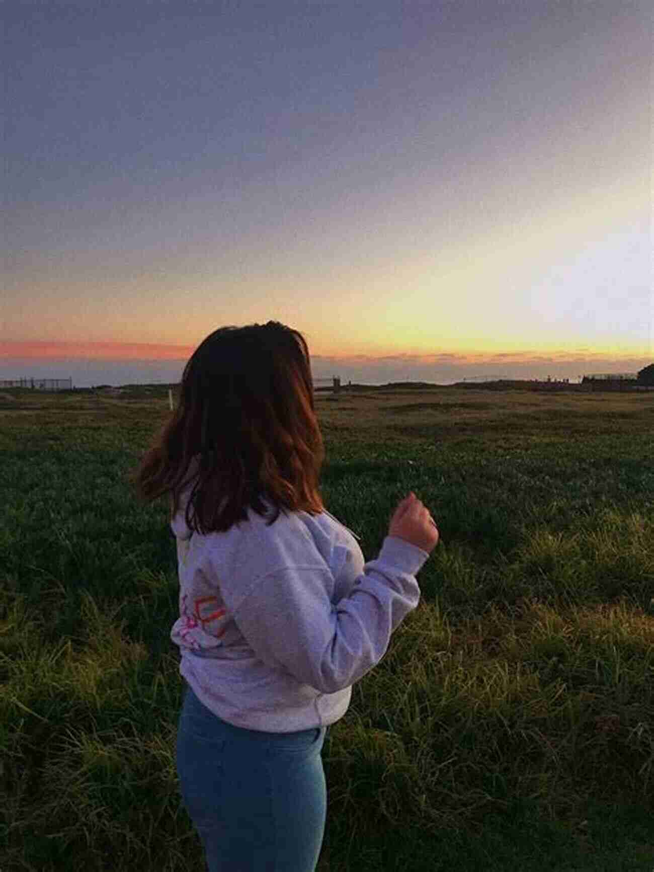 A Loyal And Playful Dog Enjoying A Beautiful Sunset At The Beach Jack McAfghan: Reflections On Life With My Master: A Dog S Memoir On Life And The Afterlife For Children Of All Ages