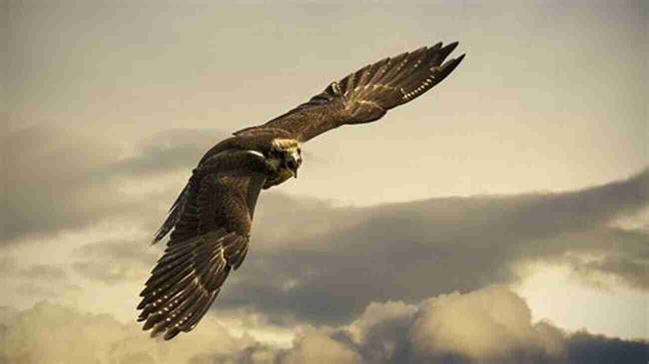 A Majestic Falcon Soaring Through The Sky, Surrounded By Beautiful Clouds. Birds Of South Carolina: A Falcon Field Guide (Falcon Field Guide Series)