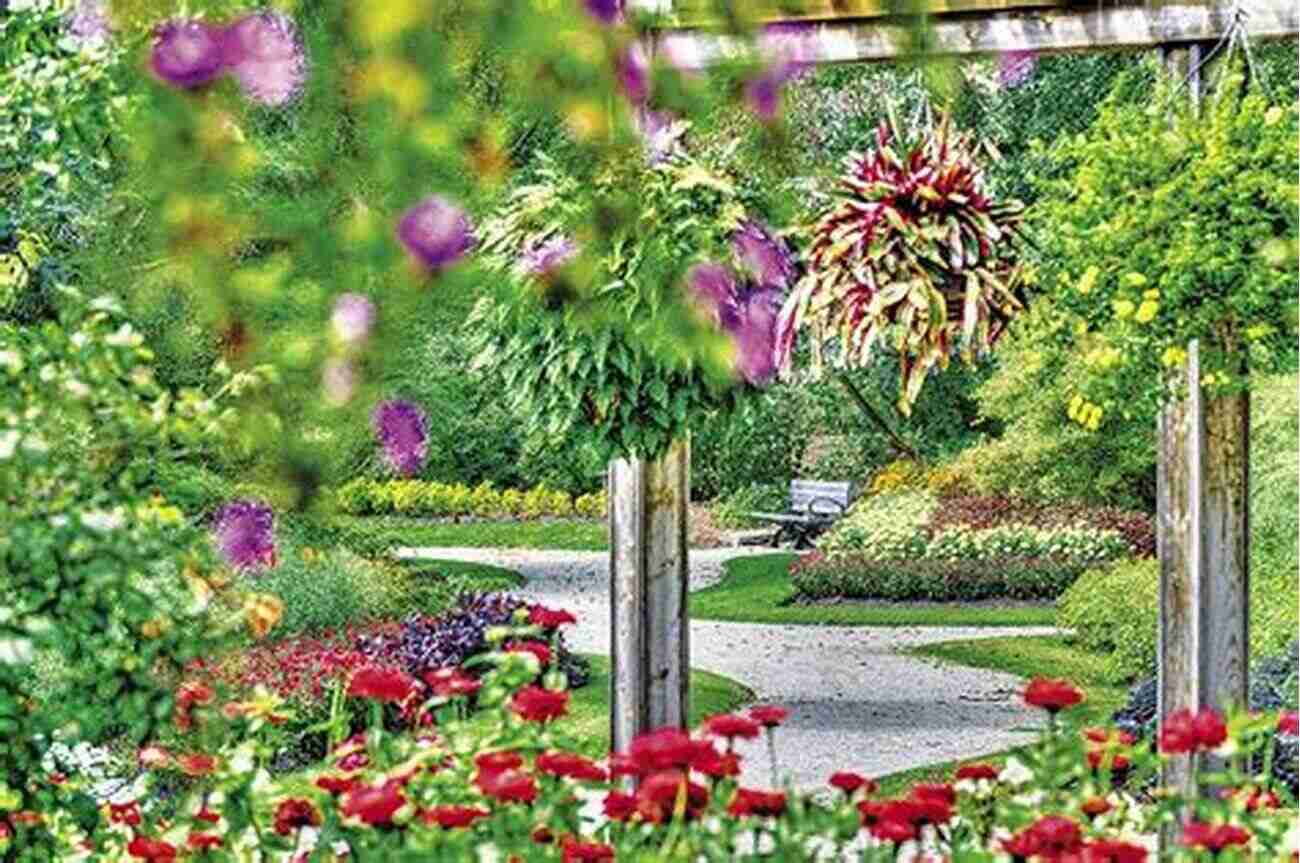 A Mesmerizing Display Of Vibrant Flower Gardens In Sarnia Sarnia Ontario 3 In Colour Photos: Saving Our History One Photo At A Time