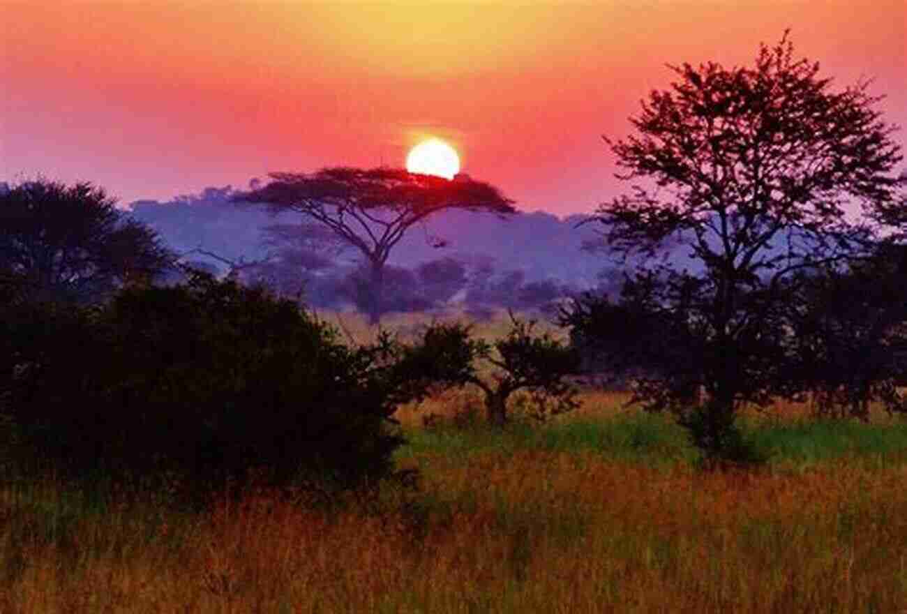 A Mesmerizing Sunset Over The Serengeti Plains In Africa Living The Dream: Our Life And Adventures In Africa