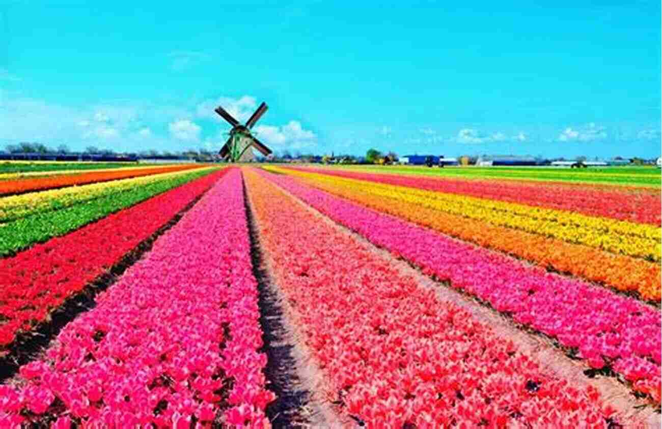 A Picturesque Dutch Countryside With Vibrant Tulip Fields During Spring The Netherlands Travel Guide With 100 Landscape Photos