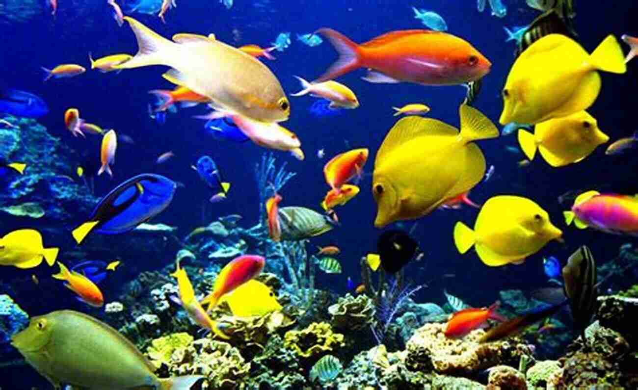 A School Of Colorful Fishes Swimming In The Coral Reef Fishes: A Guide To Their Diversity