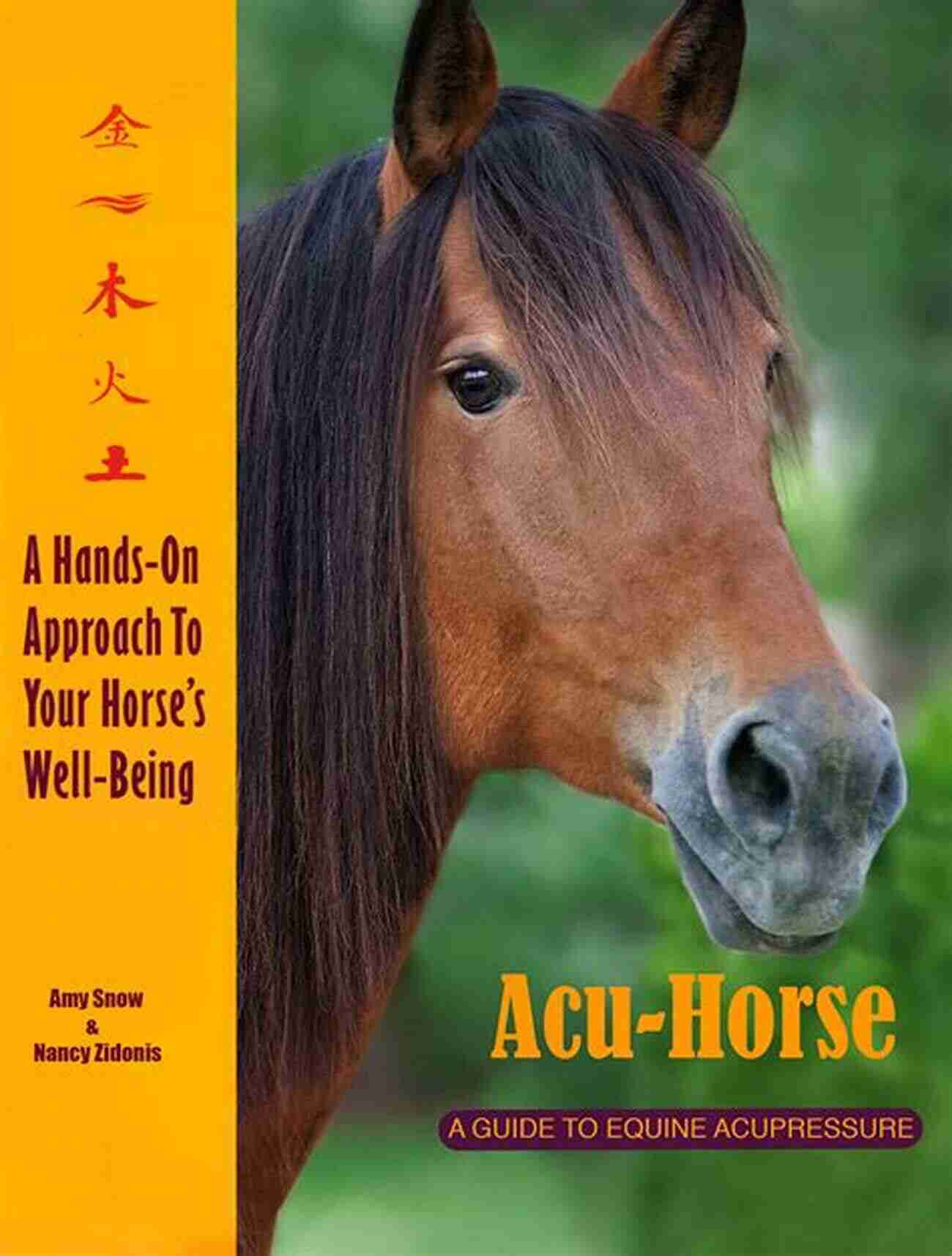 Acu Horse Guide To Equine Acupressure A Complete Guide To Equine Acupressure: Unleash The Healing Power! Acu Horse: A Guide To Equine Acupressure