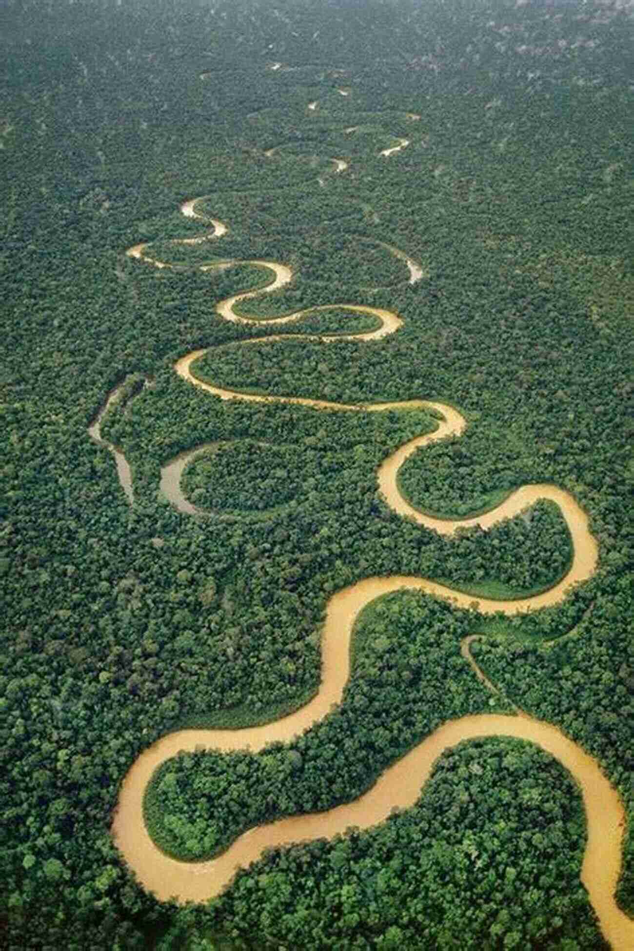 Aerial View Of The Amazon Rainforest Canopy With A Meandering River Peru Travel Guide With 100 Landscape Photos