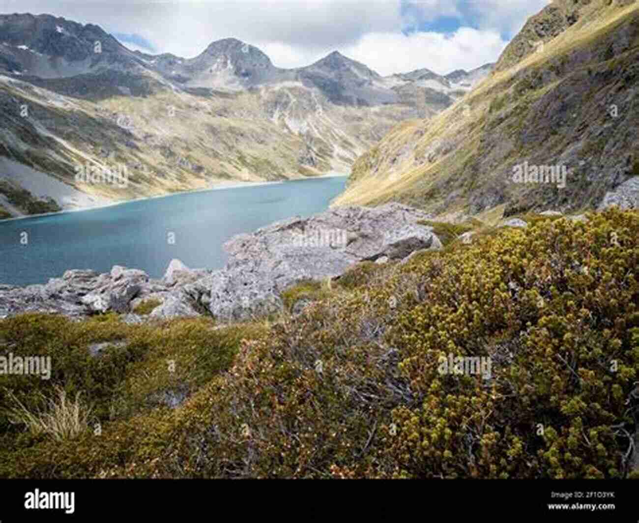 Alpine Lake In Nelson Lakes National Park New Zealand Photo Journal #16: Hiking Nelson Lakes NP