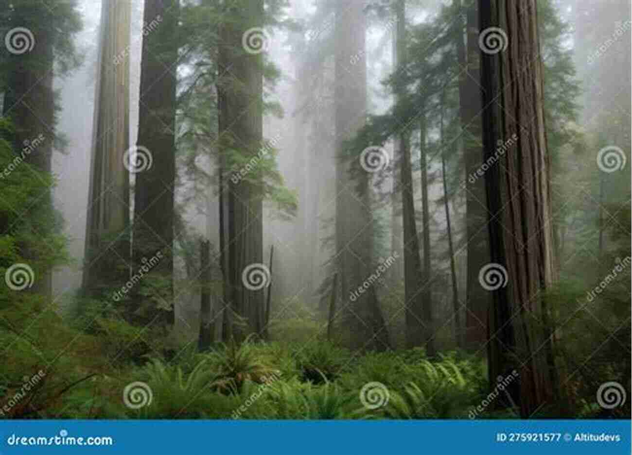 An Image Depicting A Majestic Forest Shrouded In Mist The Nature Magpie: A Cornucopia Of Facts Anecdotes Folklore And Literature From The Natural World (Icon Magpie)