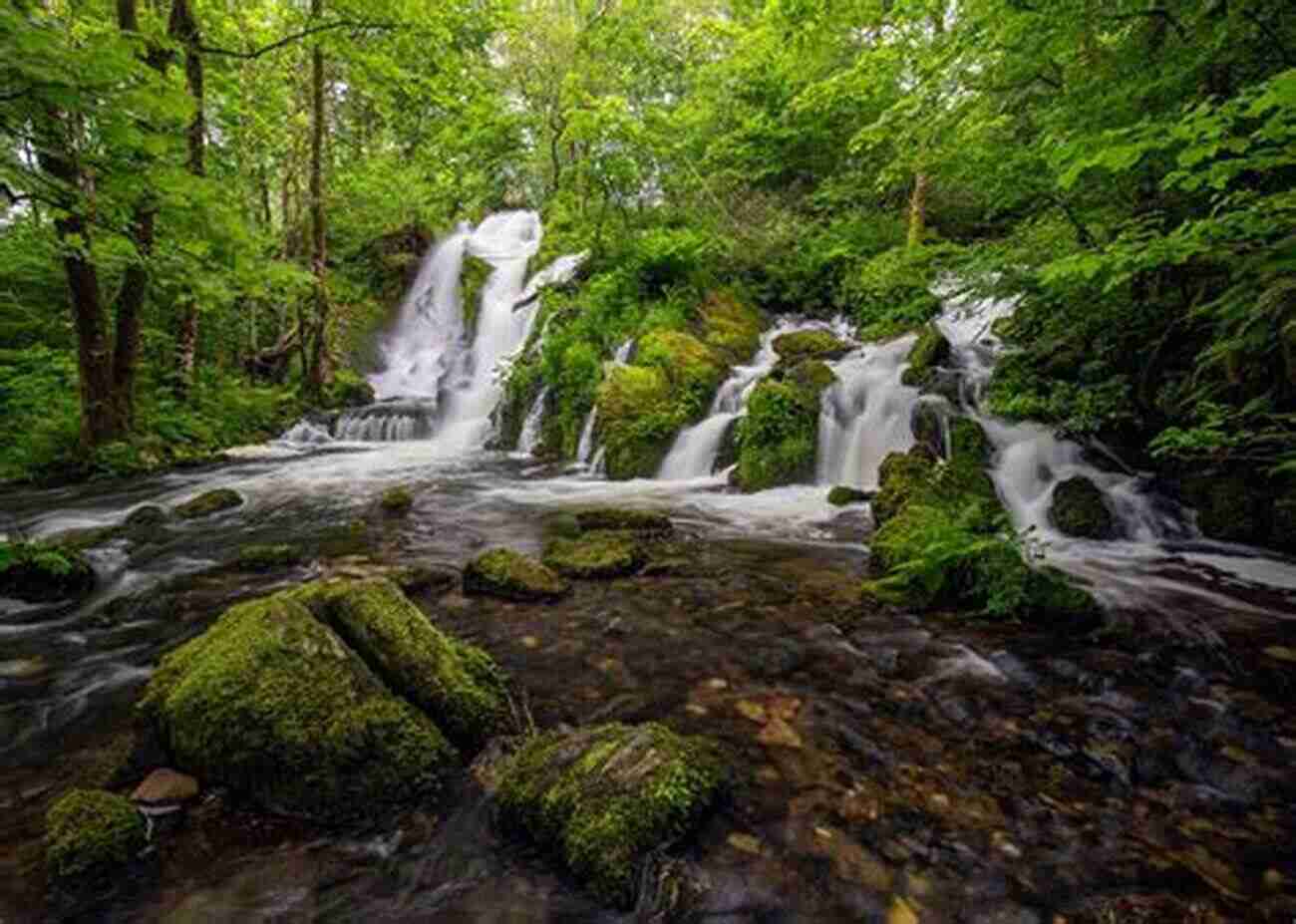 An Image Depicting A Waterfall In A Lush Green Forest The Nature Magpie: A Cornucopia Of Facts Anecdotes Folklore And Literature From The Natural World (Icon Magpie)