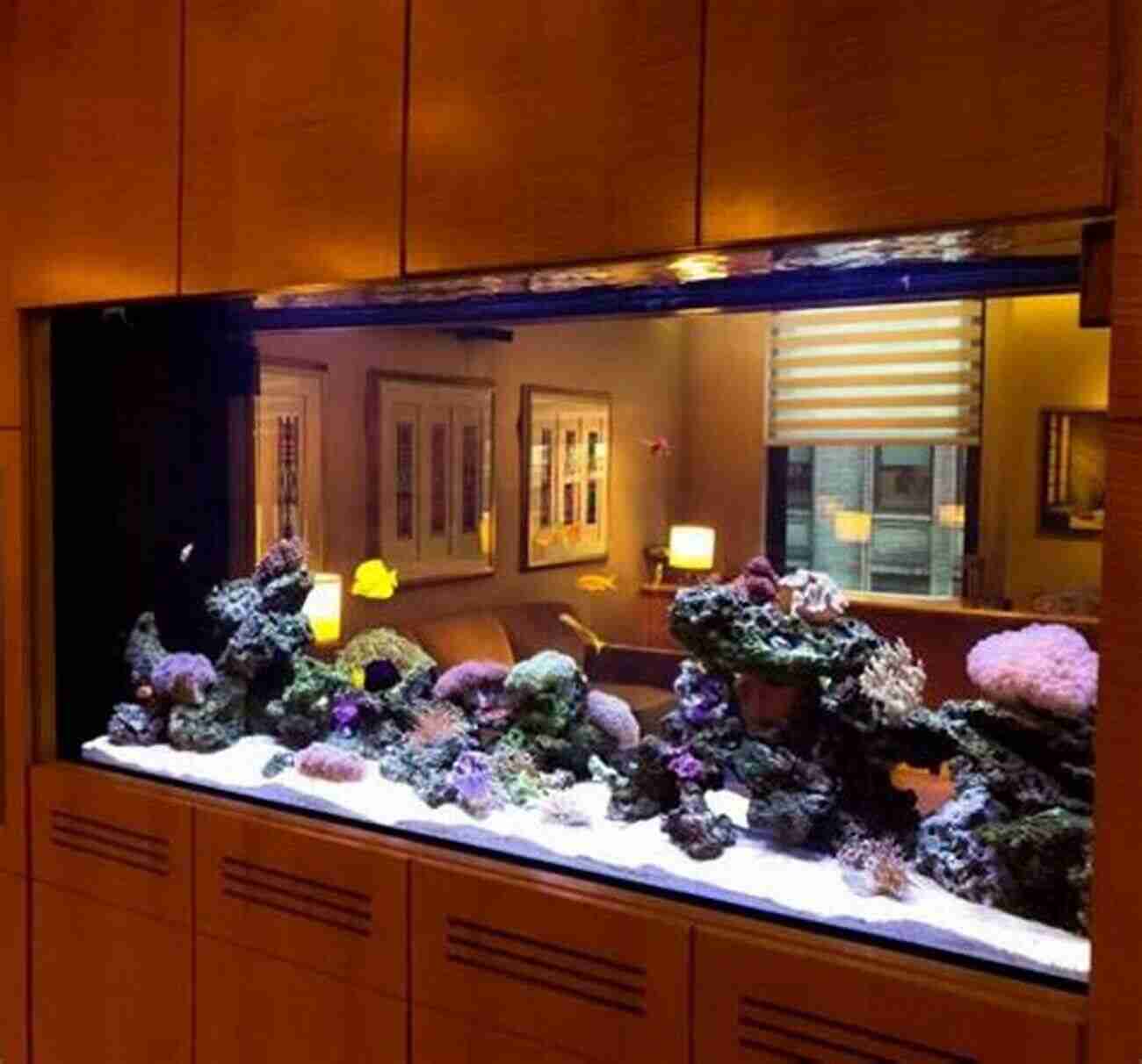 Aquarium Embodying Simplicity And Tranquility Of Zen Philosophy Freshwater Aquarium Models: Recipes For Creating Beautiful Aquariums That Thrive