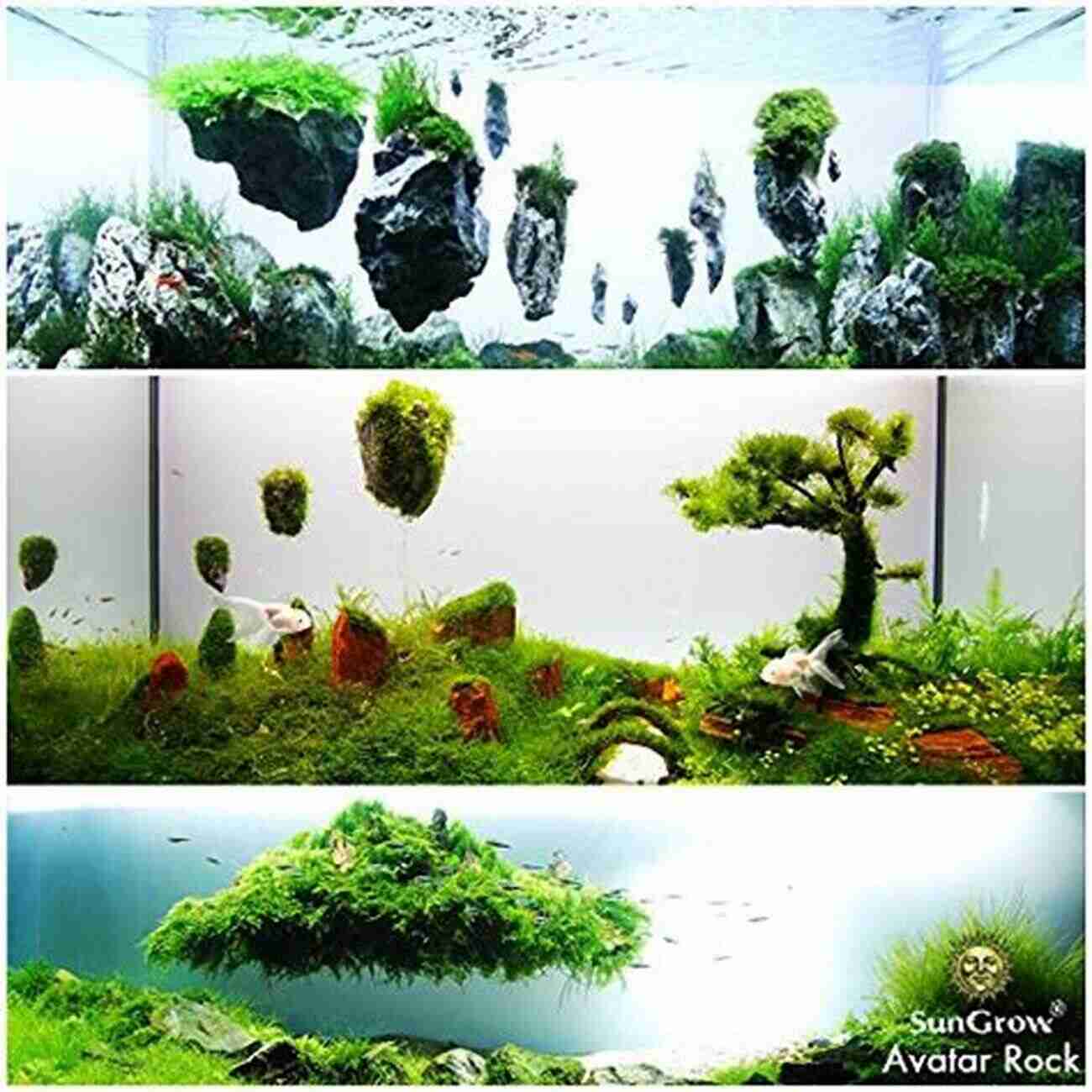 Aquarium Resembling A Magical Underwater Garden Freshwater Aquarium Models: Recipes For Creating Beautiful Aquariums That Thrive