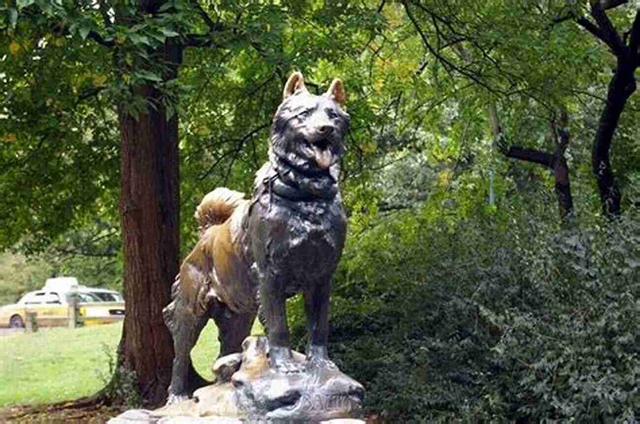 Balto Delivering Serum Amazing Animals Who Changed The World (People Who Changed The World)