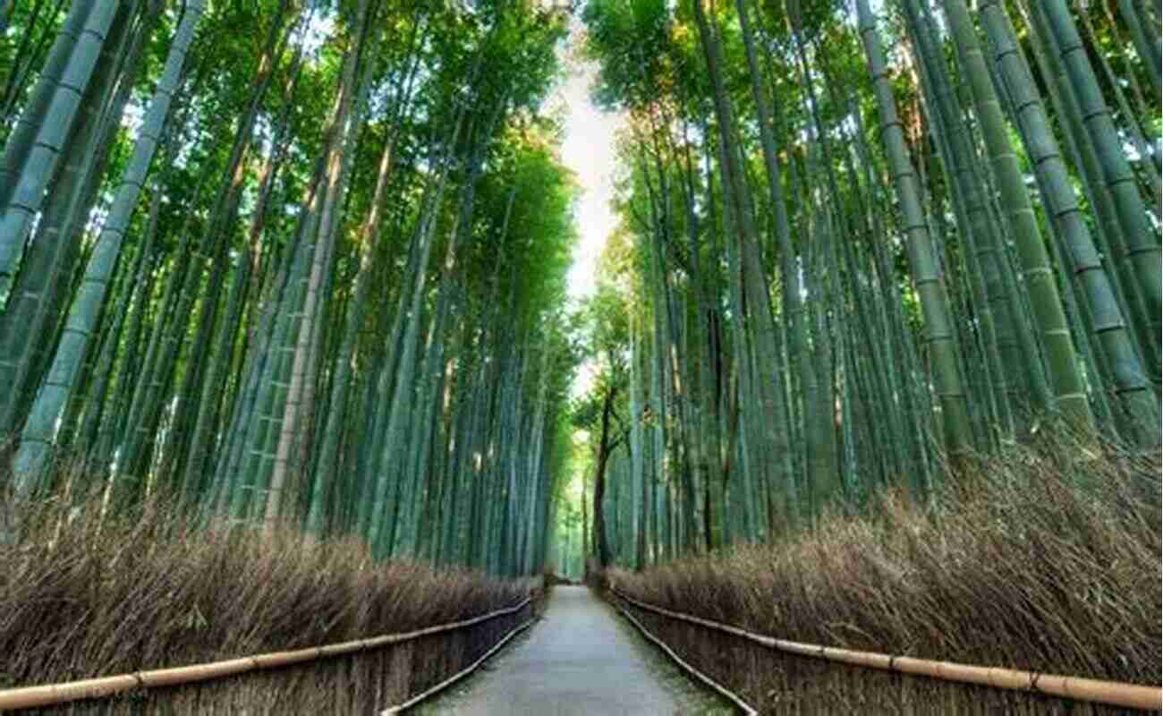 Bamboo Grove In Kyoto The Imagery Of Foreign Travel Or Description Extracts From Scenes And Impressions In Egypt India C C C