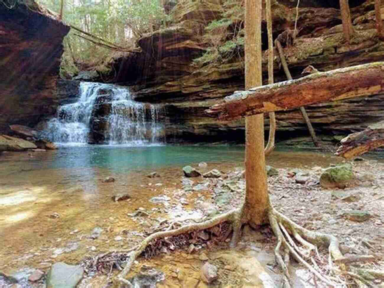 Bankhead National Forest Alabama's Hidden Gem For Hiking Enthusiasts Alabama Bucket List Adventure Guide: Explore 100 Offbeat Destinations You Must Visit