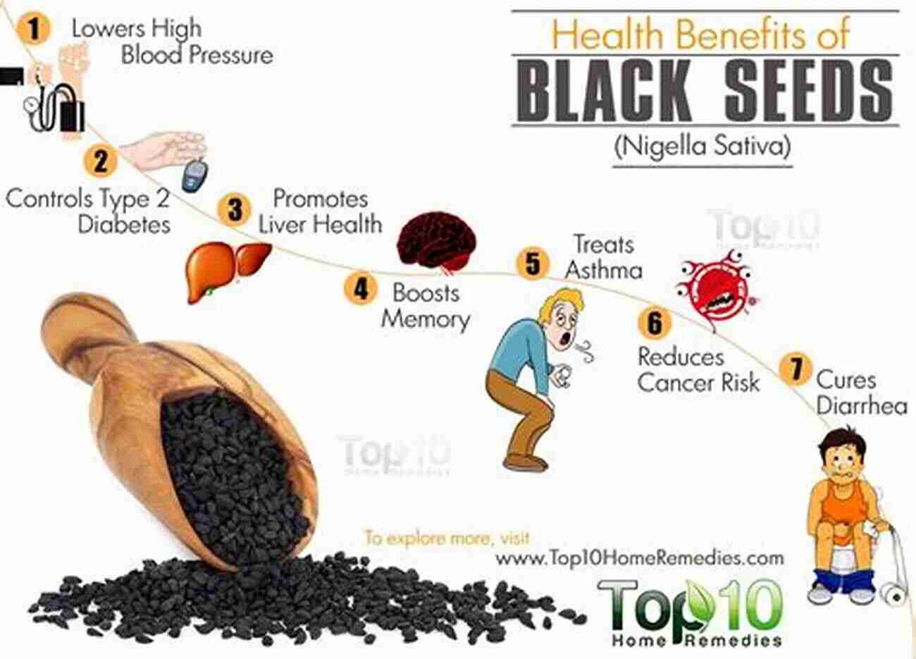 Black Seeds Nigella Sativa The Miraculous Seed For Health And Wellness Black Seeds (Nigella Sativa): Pharmacological And Therapeutic Applications