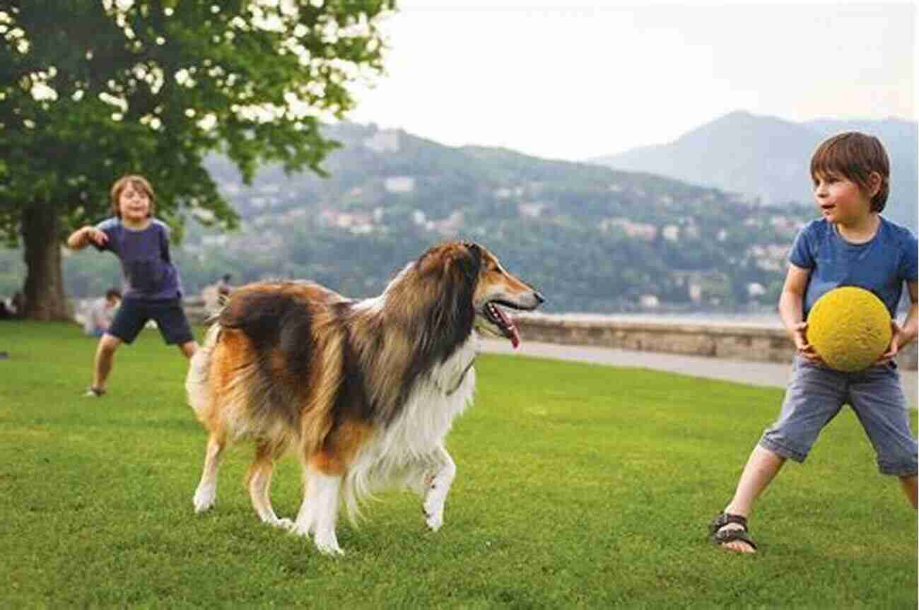 Boy Playing With His Dog In The Park Why Do Pets Have People? (People And Pets)