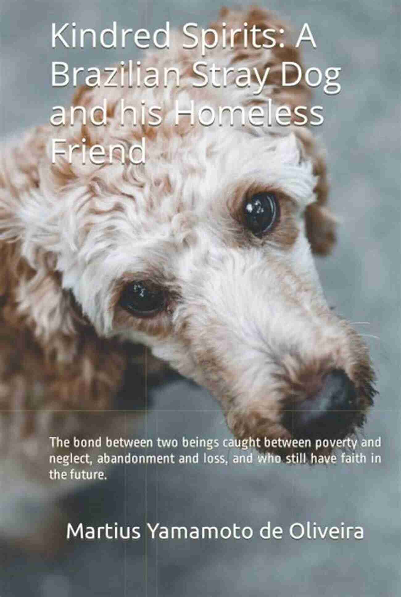 Brazilian Stray Dog And His Homeless Friend Kindred Spirits: A Brazilian Stray Dog And His Homeless Friend: Pet Loss Death Heaven Life Home Bridge Afterlife Grief Spirit Messages Reincarnation NDE Animal Human Rights