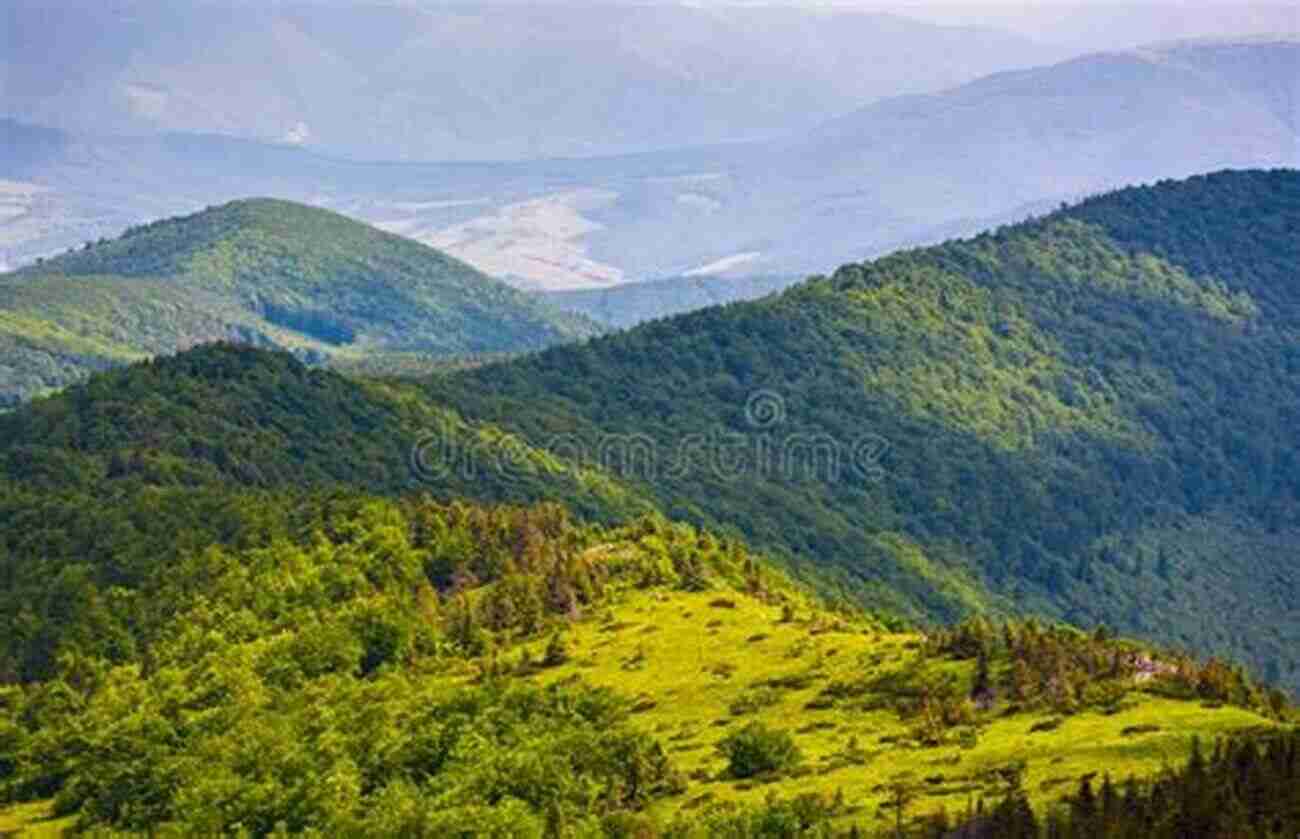 Carpathian Mountains A Breathtaking Panorama Of Lush Green Landscapes And Rolling Hills That Make Up The Carpathian Mountains. Ukraine (Other Places Travel Guide)