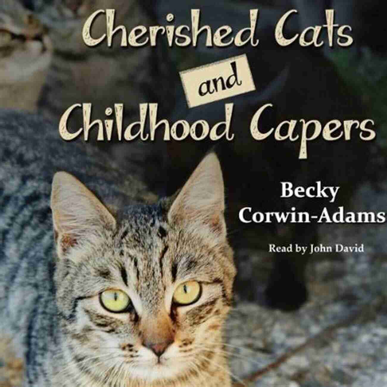 Cherished Cats Sketches And Capers Playful Cat Caper Illustrated By Lucy Moore Cherished Cats Sketches And Capers