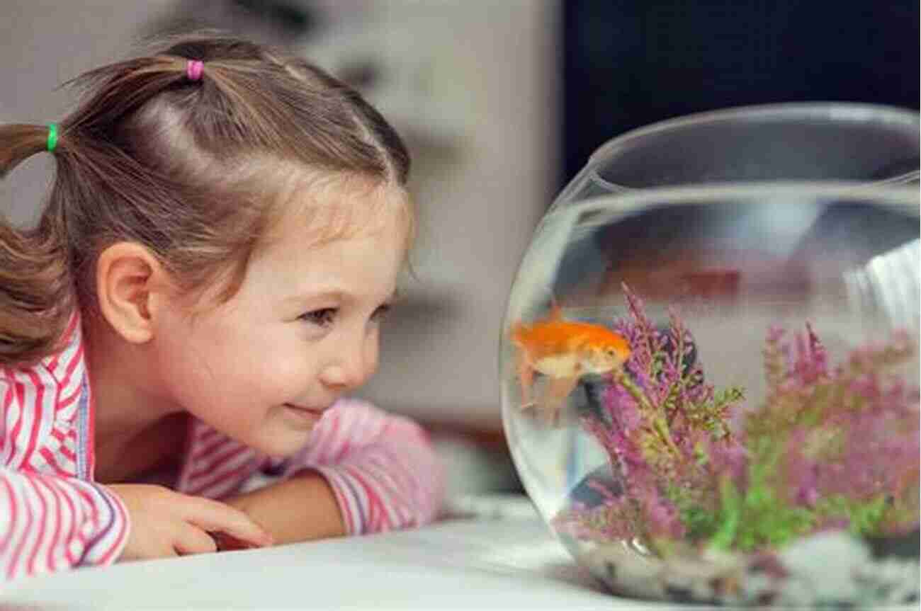 Child Holding Their Pet's Picture While Looking Sad Missing Molly: A Child S Story About Loss Of A Pet