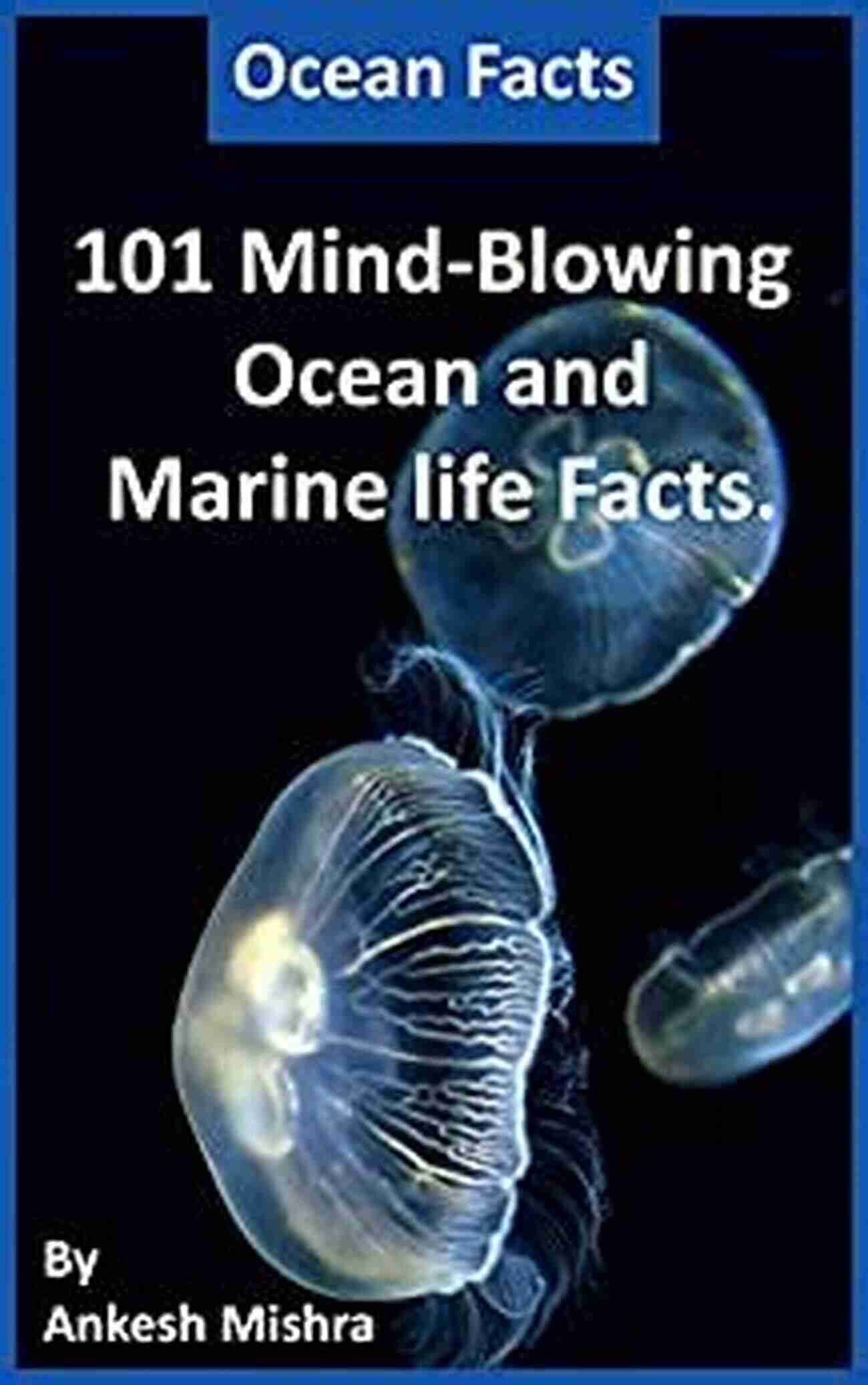 Colorful Coral Reef Ocean Facts: 101 Mind Blowing Ocean And Marine Life Facts : Ocean For All The Mystery Lovers Explorers And Creative Minds (101 Facts 2)