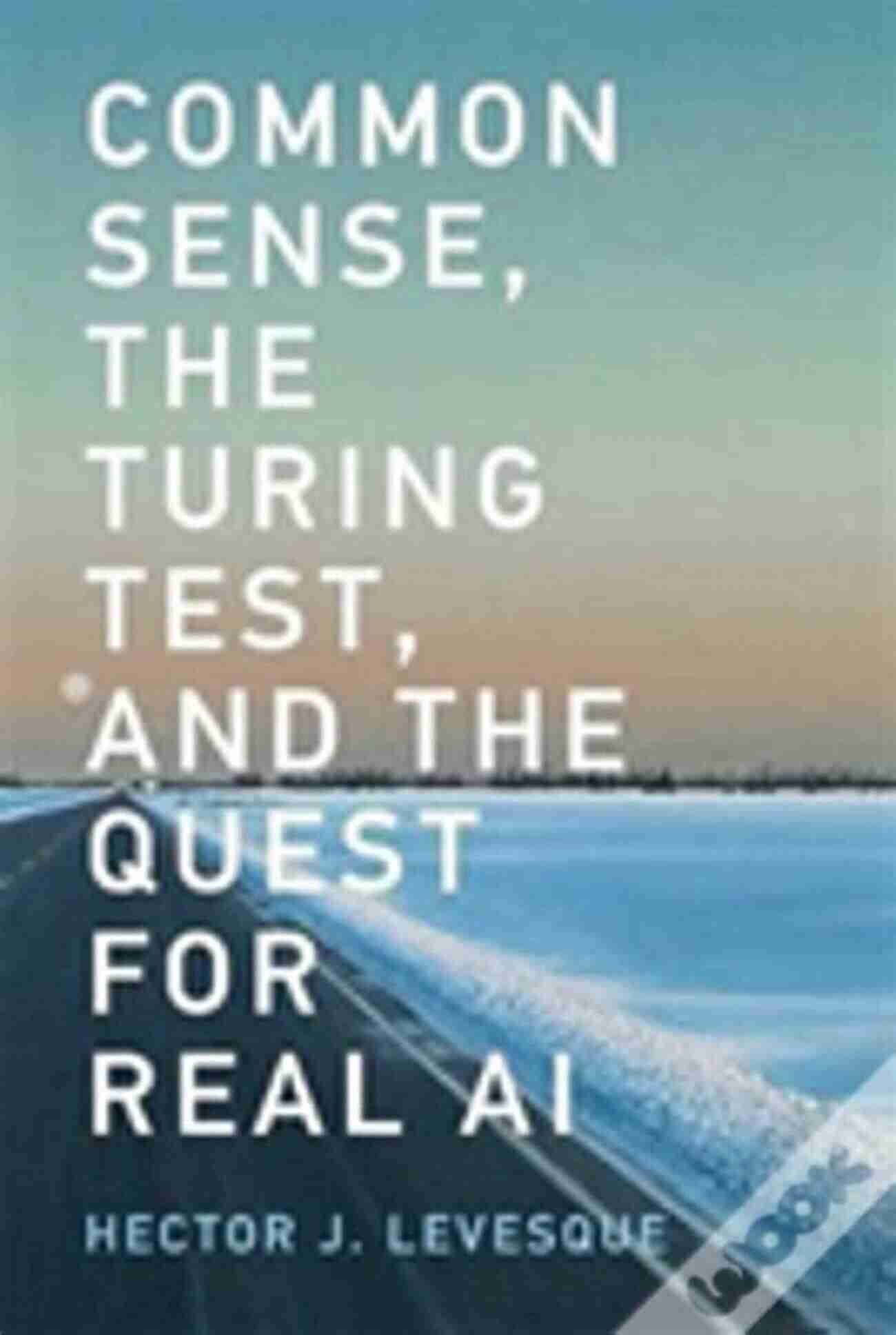 Common Sense: The Turing Test And The Quest For Real AI Common Sense The Turing Test And The Quest For Real AI