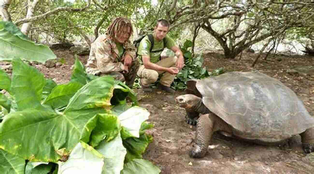 Conservation Efforts In The Galapagos Islands My Family And The Galapagos