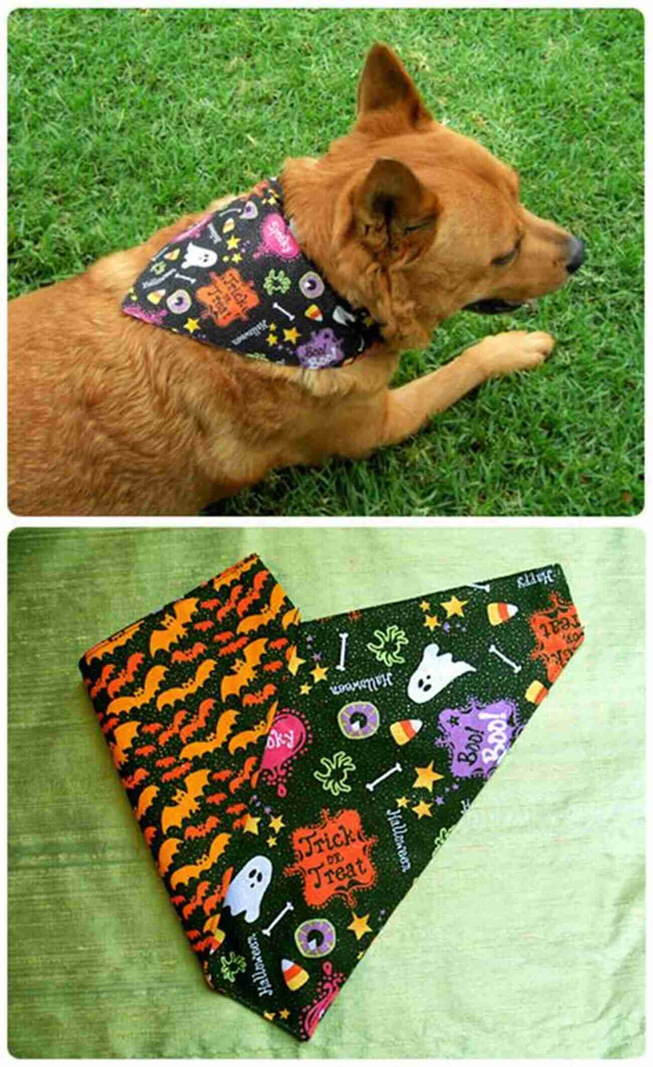 DIY Fabric Dog Bandanas Fat Quarter: Bags Purses: 25 Projects To Make From Short Lengths Of Fabric