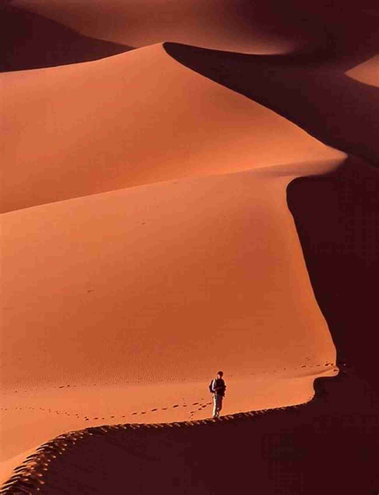 David Voda Navigating The Vast Saharan Dunes Traveling Trails Less Traveled David Voda