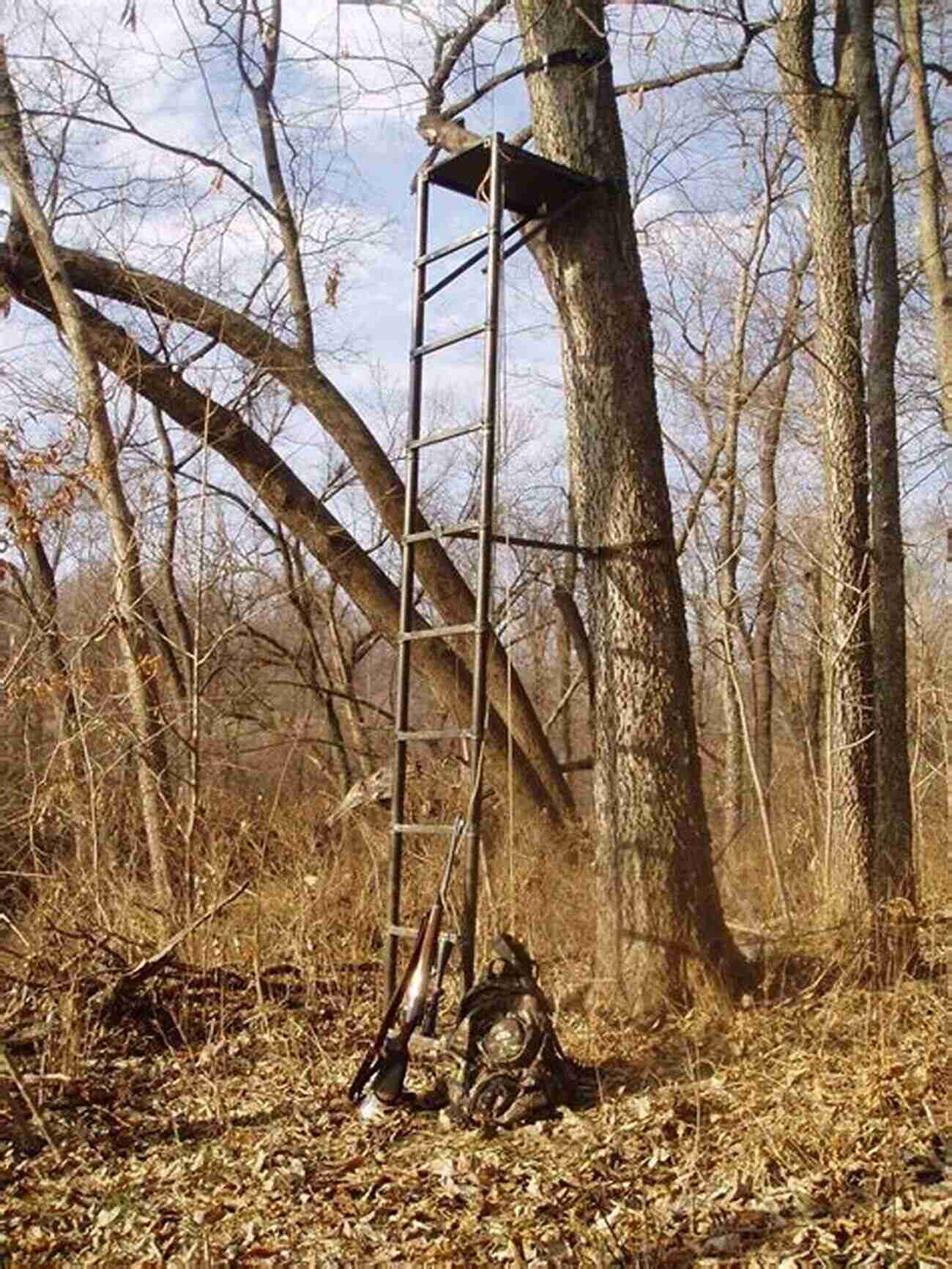 Deer Hunting Tree Stand Whitetail Deer Hunting Tips: SEVEN SHORT DEER HUNTING SECRET STEPS TO TAGGING OUT EASILY