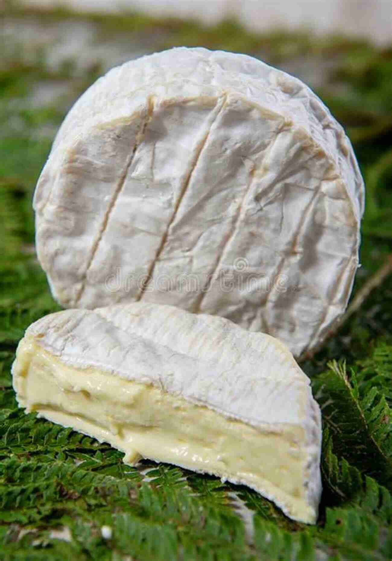 Delicious Camembert Cheese Photo By David Miller Rick Steves Snapshot Normandy Amy C Balfour