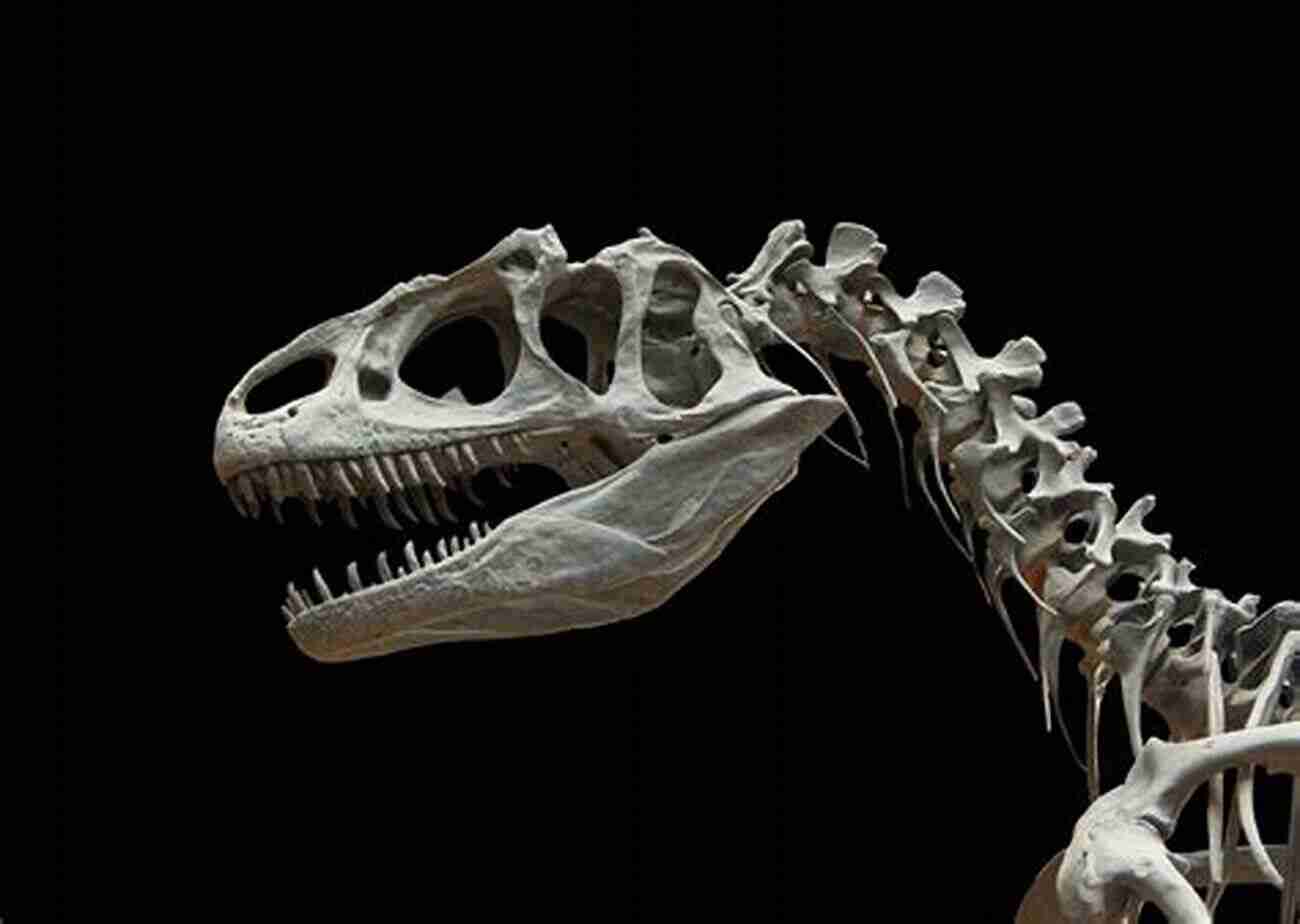 Dinosaur Fossils: Prehistoric Clues That Unveil The World Of Dinosaurs Dinosaurs: A Very Short (Very Short s)