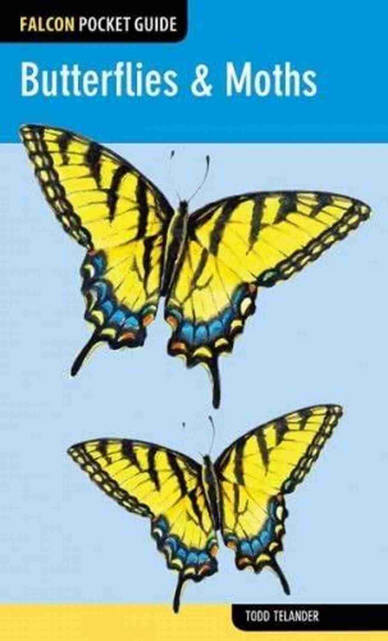 Discover The Hidden World Of Moths In The Eastern US With Falcon Pocket Guides Butterflies Moths (Falcon Pocket Guides)