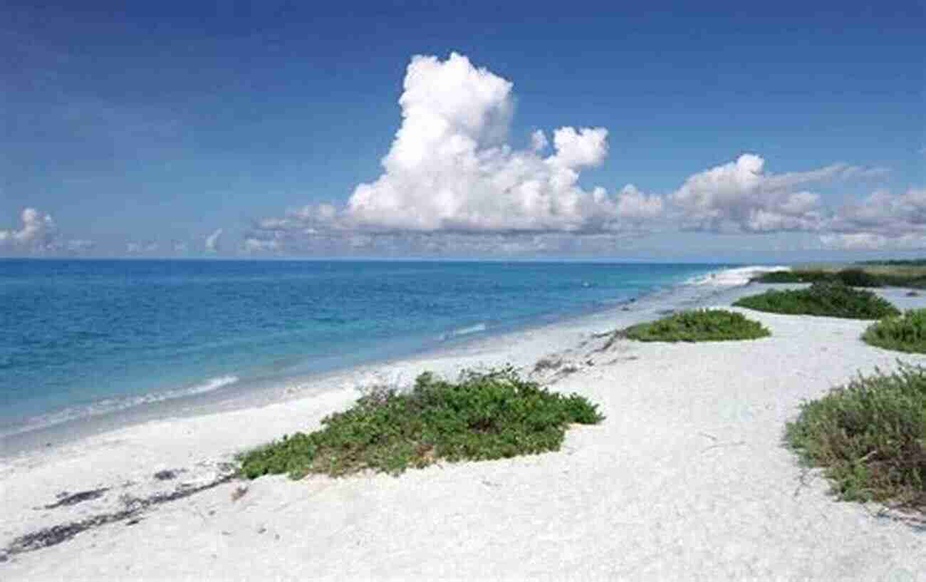 Discover The Beautiful Beaches And Charming Communities Of Sanibel And Captiva Islands 10 Adventures And More In Lee And Collier Counties: Florida On Land And Water