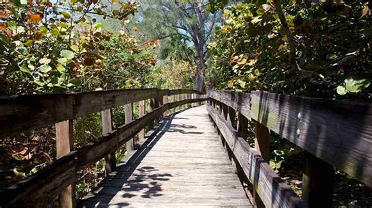 Discover The Natural Beauty Of Delnor Wiggins Pass State Park 10 Adventures And More In Lee And Collier Counties: Florida On Land And Water