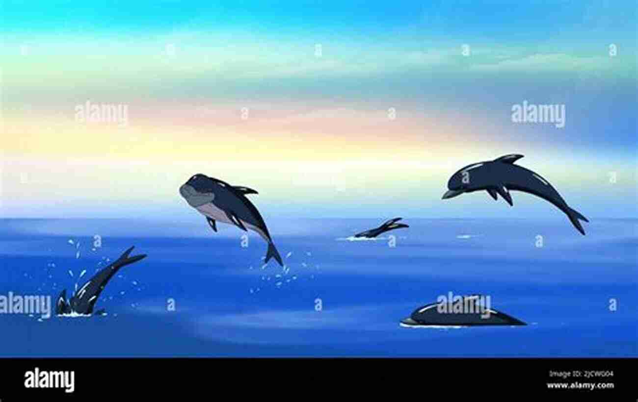 Dolphins Gracefully Swimming In The Ocean Wheelie Big Adventure: With Floyd Fish