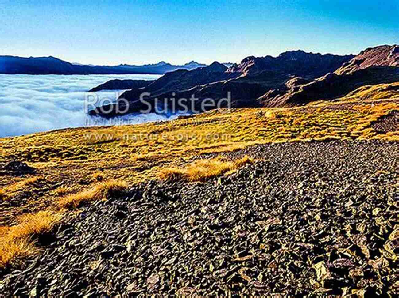 Early Morning Mist In Nelson Lakes National Park New Zealand Photo Journal #16: Hiking Nelson Lakes NP