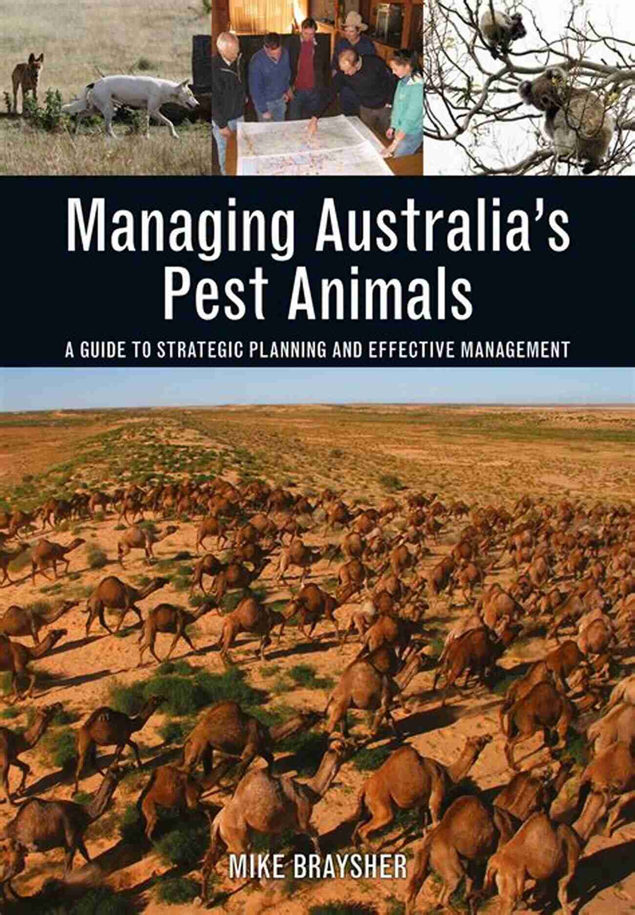 Effective Techniques For Managing Pest Animals In Australia Managing Australia S Pest Animals: A Guide To Strategic Planning And Effective Management