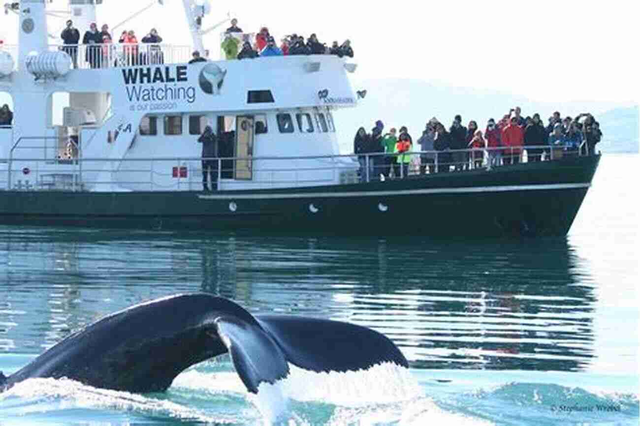 Excited Family Watching A Majestic Whale During A Whale Watching Tour Fun With The Family New Jersey: Hundreds Of Ideas For Day Trips With The Kids (Fun With The Family Series)