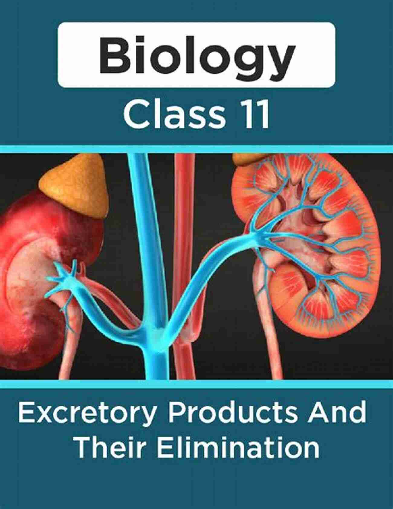 Excretary Products And Their Elimination Topper Notes: Excretary Products And Their Elimination Class XI (Topper Notes For NEET/Boards)