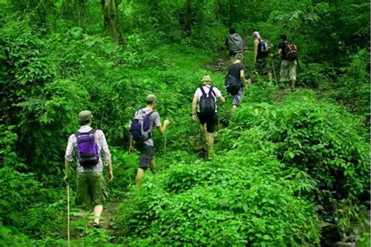 Exhilarating Trek Through The Lush Amazon Rainforest Boomer S Bucket List Sue Pethick