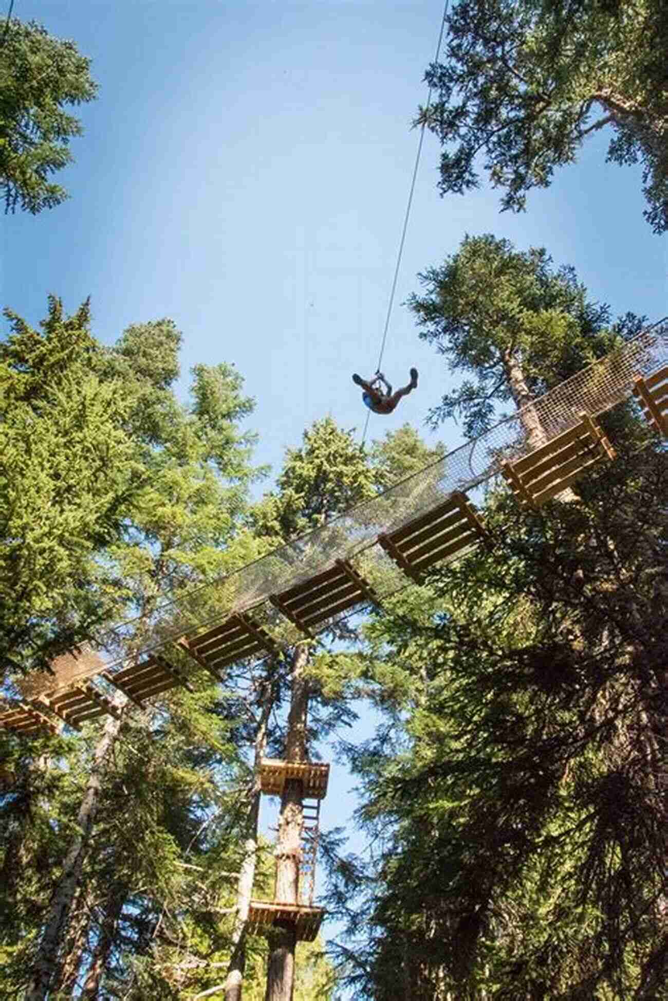 Experience Exhilarating Adventures On Grouse Mountain Great Vancouver: Beautiful Places To Go