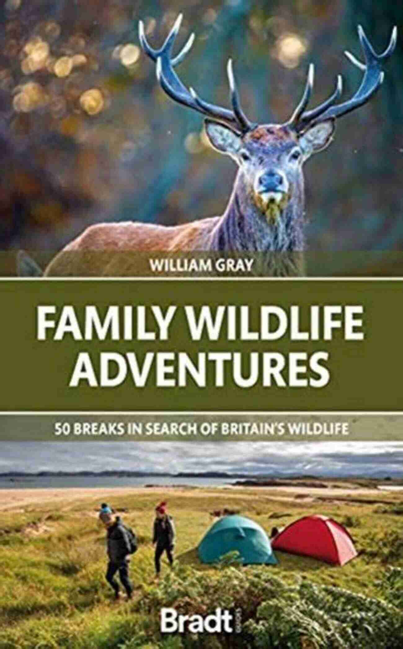 Explore Britain's Wildlife Family Wildlife Adventures: 50 Breaks In Search Of Britain S Wildlife (Bradt Travel Guides (Bradt On Britain))