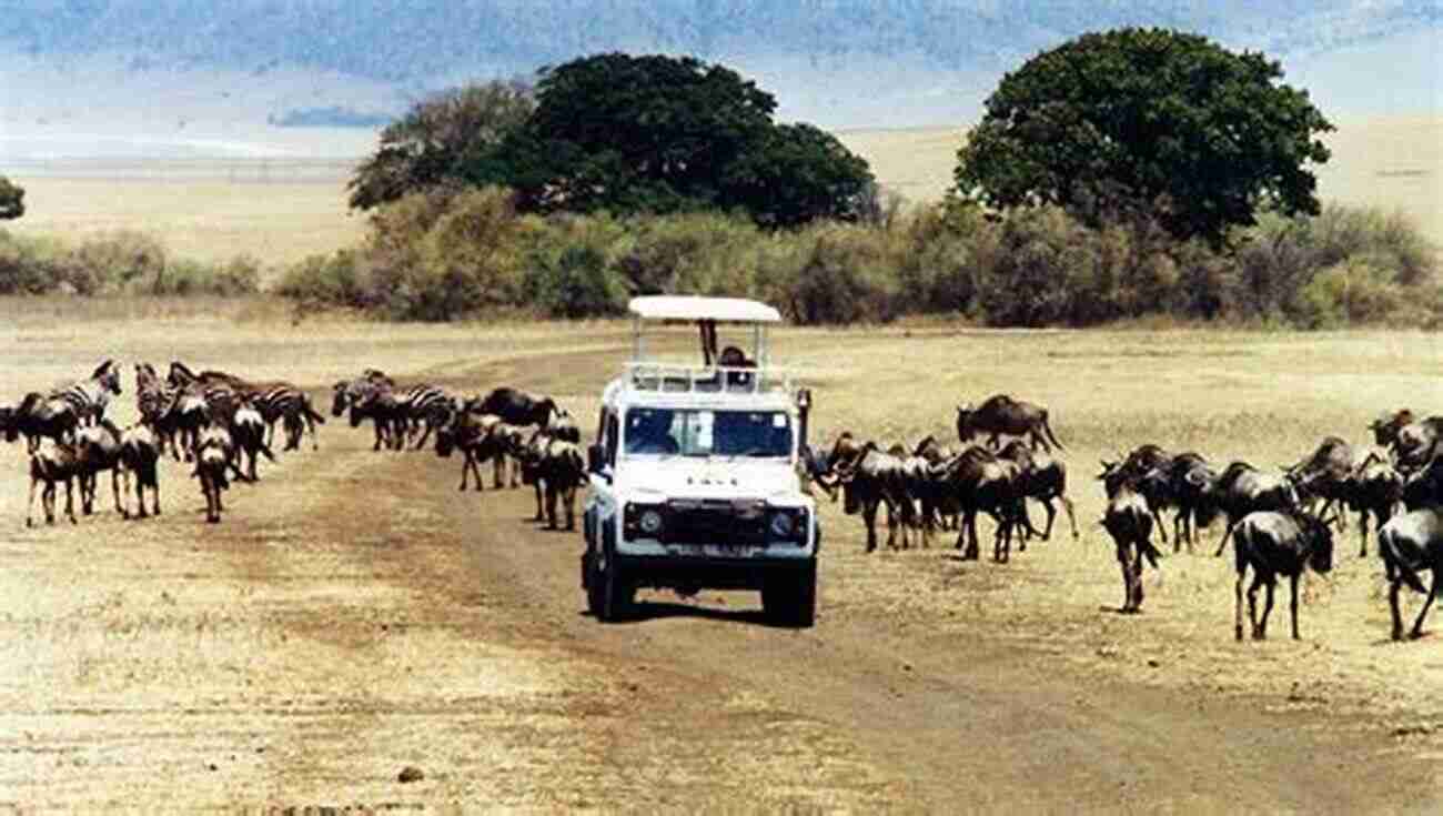 Exploring The Spectacular Wildlife Of Africa A Visual Journey Through The Vast Savannas African Nature Notes And Reminiscences