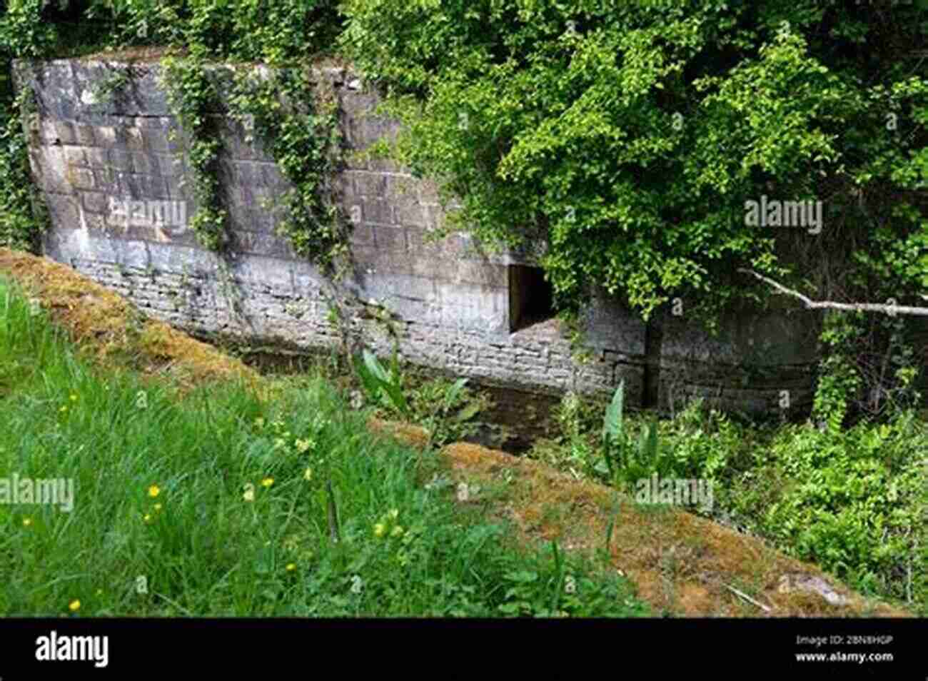 Exploring The Beautiful National Trail From London To The River Source In Gloucestershire The Thames Path: National Trail From London To The River S Source In Gloucestershire (Cicerone Walking)