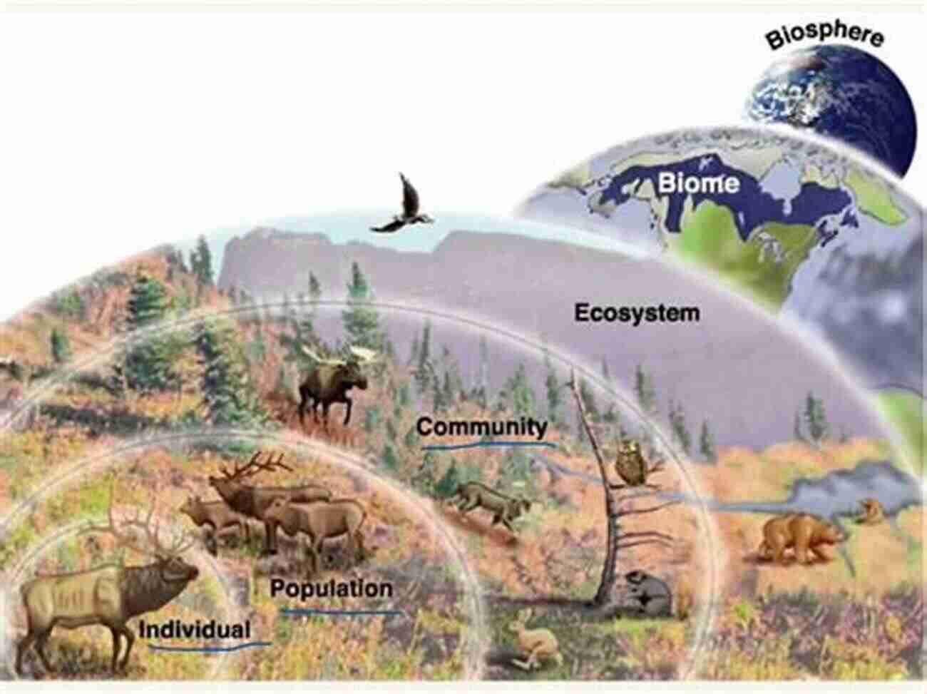 Exploring The Intricate Web Of Life In Ecology And Natural History Ecology And Natural History (Collins New Naturalist Library)