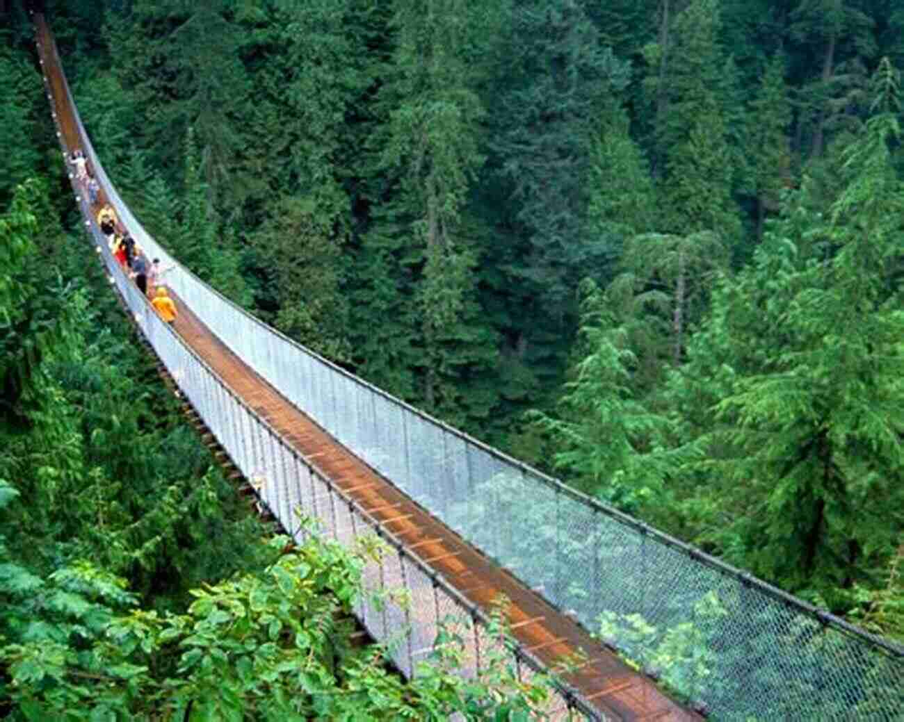 Feel The Adrenaline Rush Walking On The Capilano Suspension Bridge Great Vancouver: Beautiful Places To Go