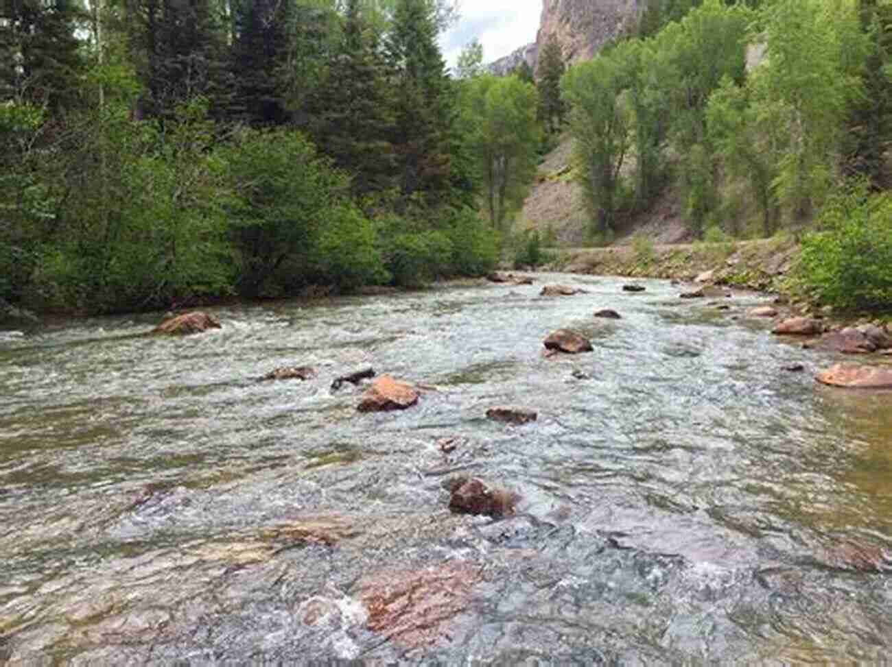 Fishing In Alamosa River Alamosa County Colorado Fishing Rafting Guide Book: Complete Fishing And Frafting Information For Alamosa County Colorado And Includes All 30 Full Size (Colorado Fishing Rafting Guide Books)