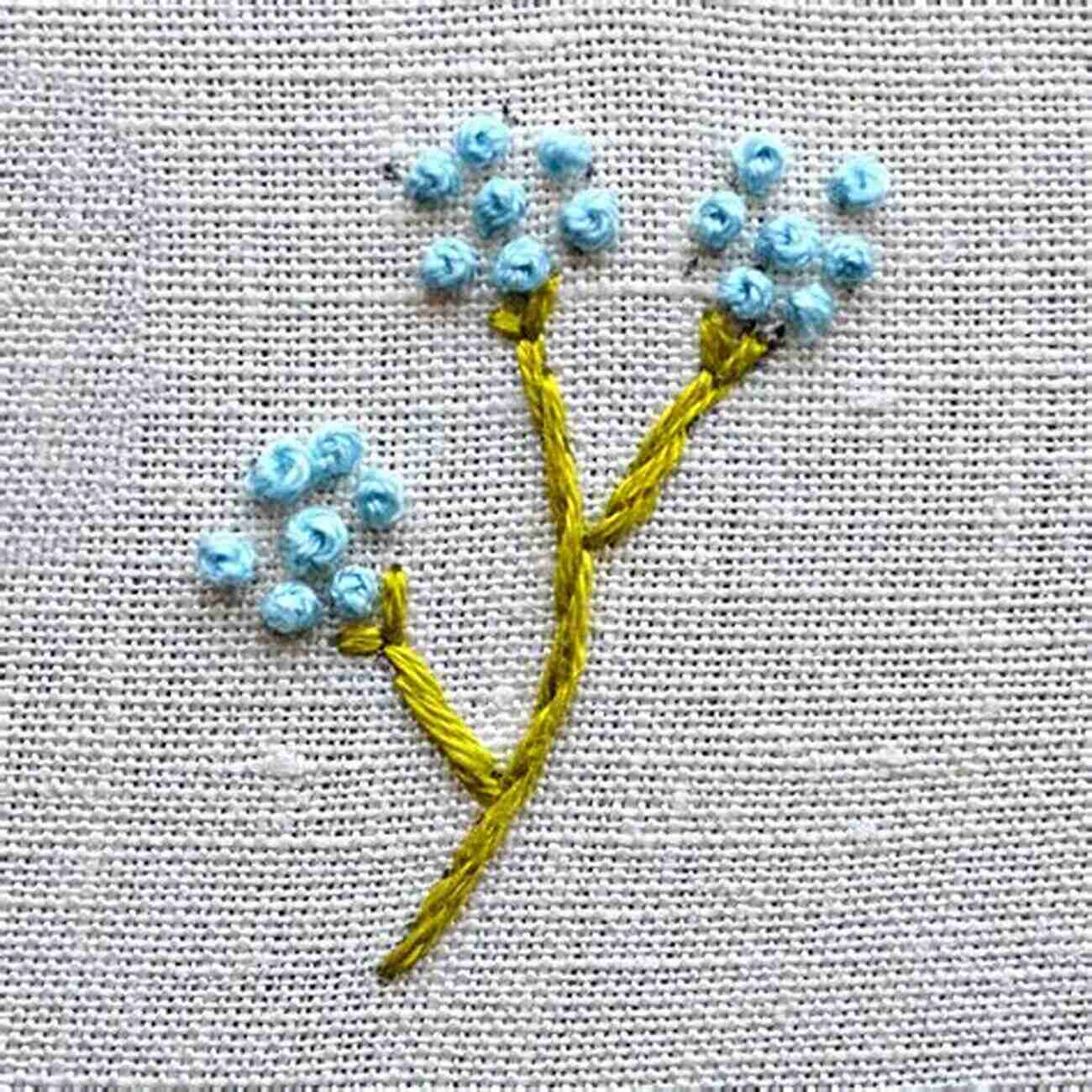 French Knot For Embroidery Embroidery For The Absolute Beginner (Absolute Beginner Craft)