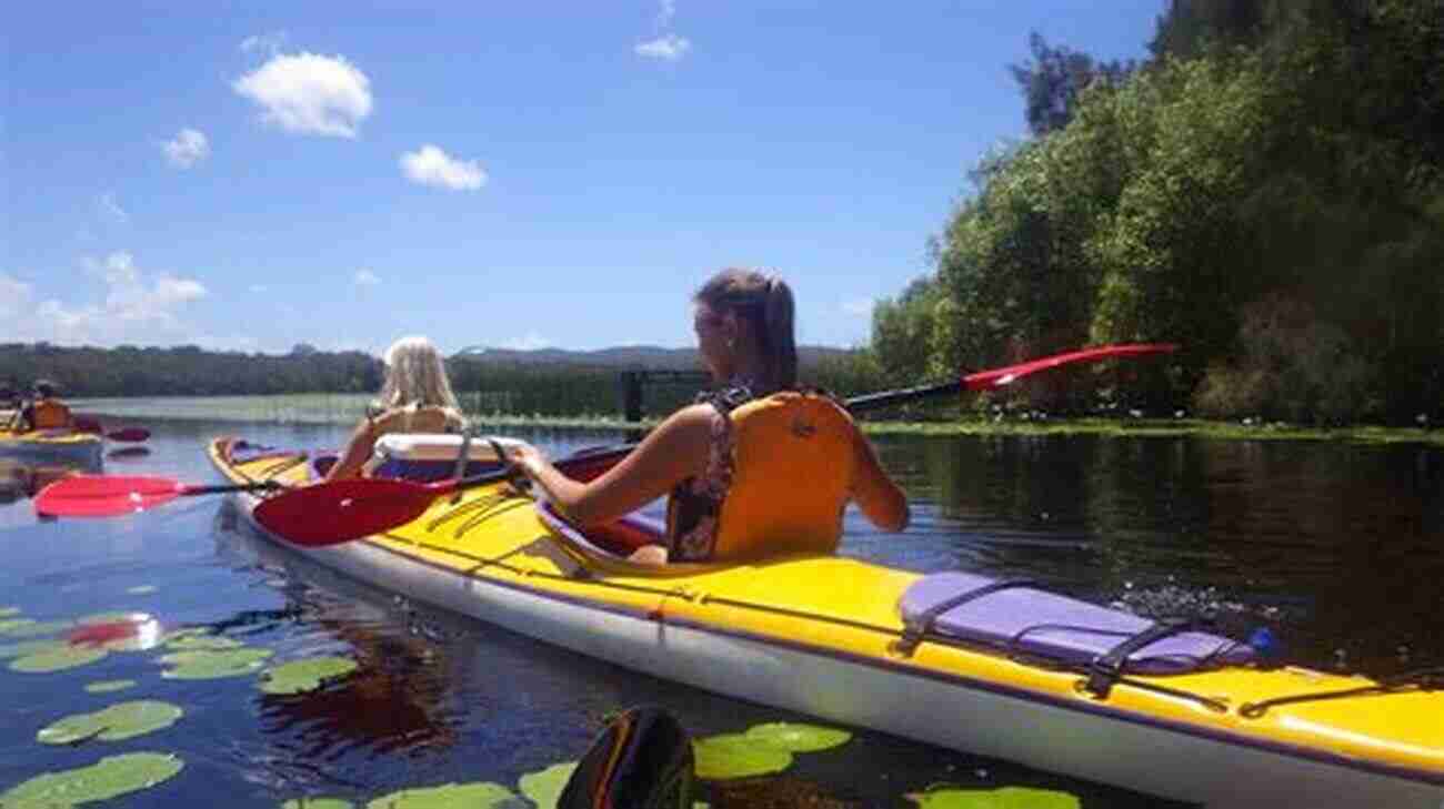 Glide Through The Incredible Wilderness Of The Everglades By Kayak 10 Adventures And More In Lee And Collier Counties: Florida On Land And Water